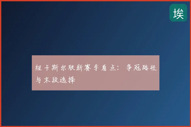 纽卡斯尔联新赛季看点：争冠路径与末段选择