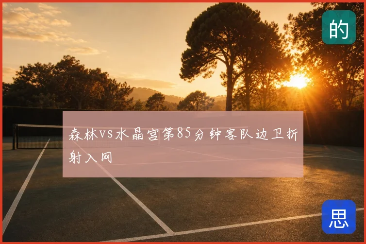 森林vs水晶宫第85分钟客队边卫折射入网